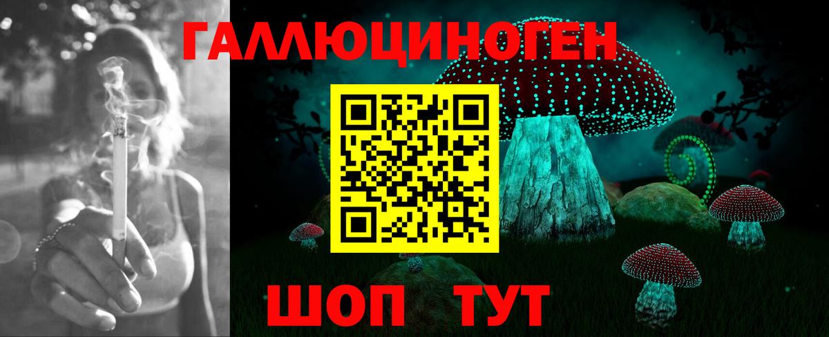 Галлюциногенные грибы Psilocybe Новоуральск